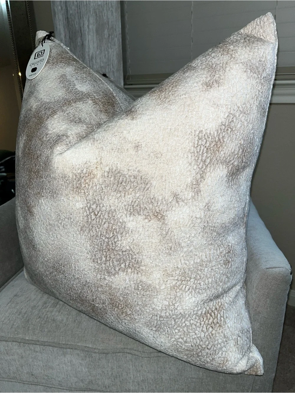 Callisto Home listing pillow